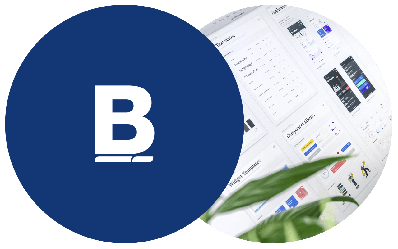 Design System BVS